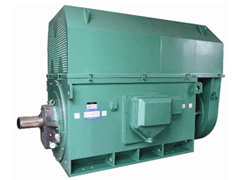 YJTGKK3554-6YKK系列高压电机